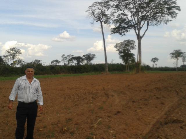 11.500 Hectares, Pecuária, 4800 há pastagens, estruturada, Mato Grosso. - Foto 10