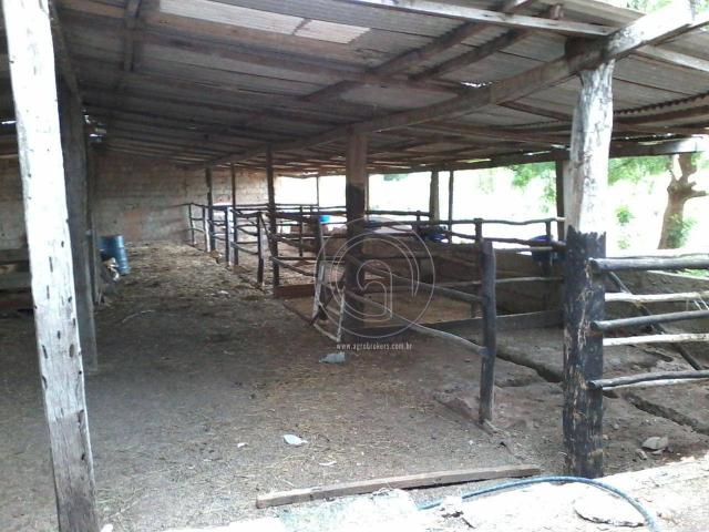 Sitio no cinturão verde - Foto 20