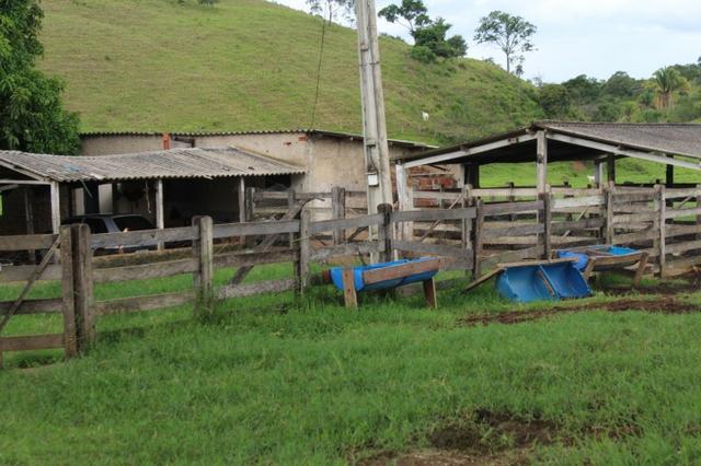 Fazenda Montada 25 Alqueires Cocalzinho"Toda Formada,72 km de Anapolis,129 km Goiania - Foto 11