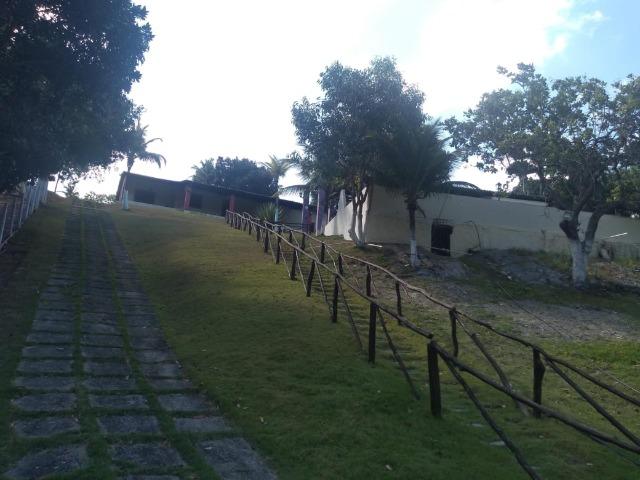 Granja - Foto 10
