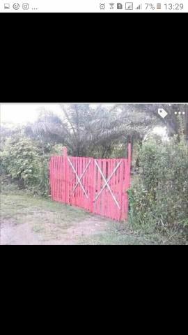 Sítio roça do povo - Foto 4