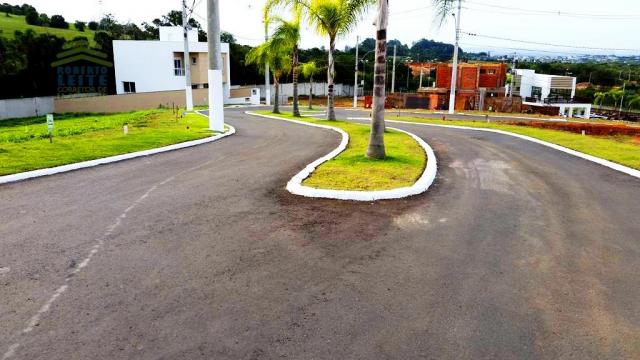 Terreno, Protásio Alves, Porto Alegre-RS - Foto 6