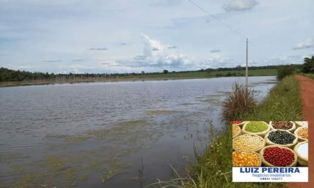 FAZENDA A VENDA DE 906 ALQUEIRÕES EM ARAGUAÇU - TO (Dupla Aptidão) - Foto 3
