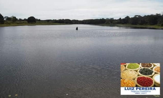 FAZENDA A VENDA DE 906 ALQUEIRÕES EM ARAGUAÇU - TO (Dupla Aptidão) - Foto 2