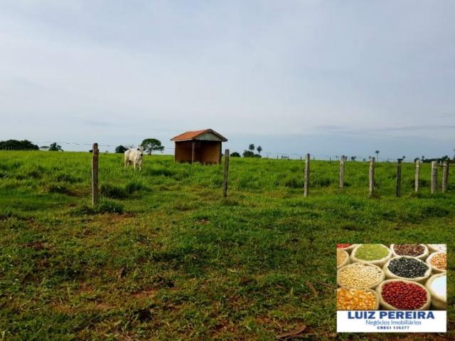 FAZENDA A VENDA DE 5.159 hECTARES EM BONITO - MS (Dupla aptidão) - Foto 8