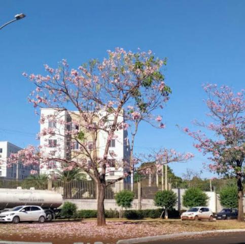 Apartamento Mobiliado Castelo