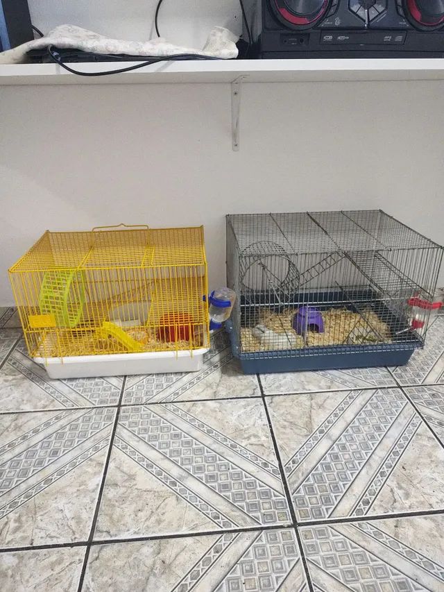 Hamster anão russo com gaiola