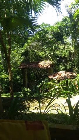  Sitio 4.400 m² Tranquilidade no sul da ilha  (rua sem saída)! - Foto 3