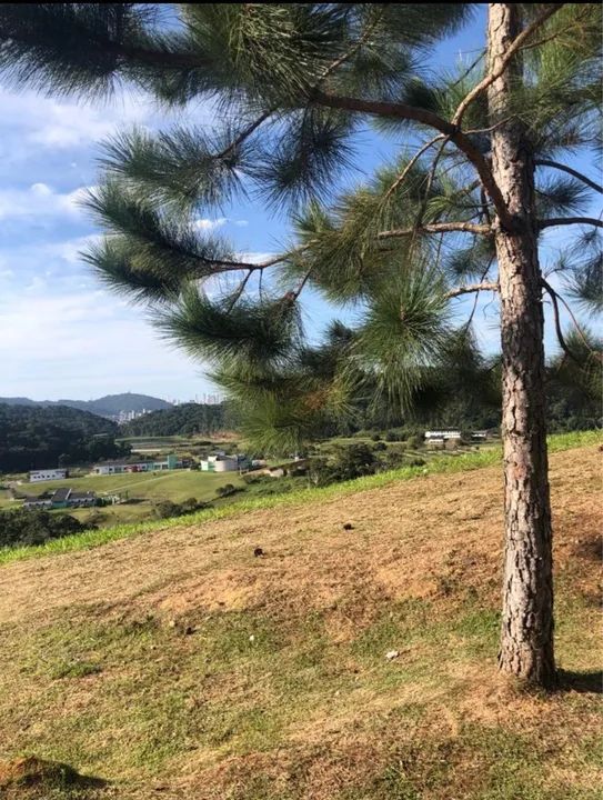 Troco terreno por carro - Foto 5