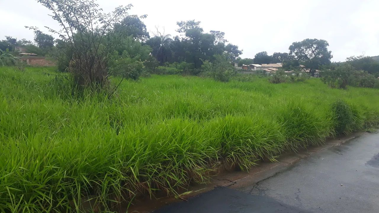 LOTES com 1000mts, topografia plana pronto para construir R$13.757,00 mais parcelas - Foto 2