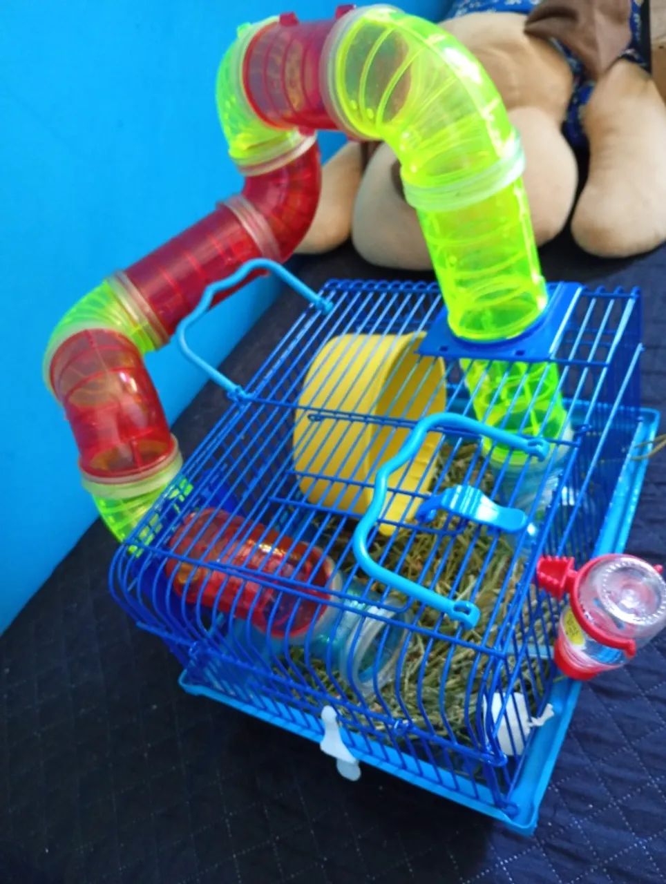 Gaiola 64861039575169121