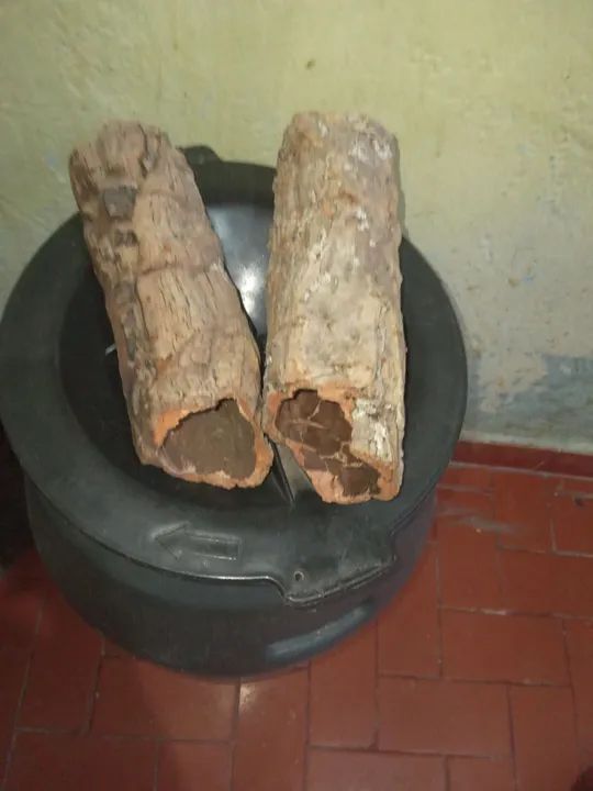 Acessórios naturais para roedores. - Foto 4