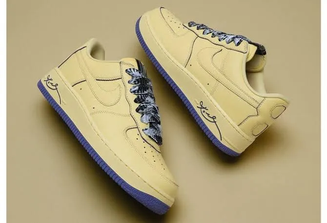 Air force 1 protro