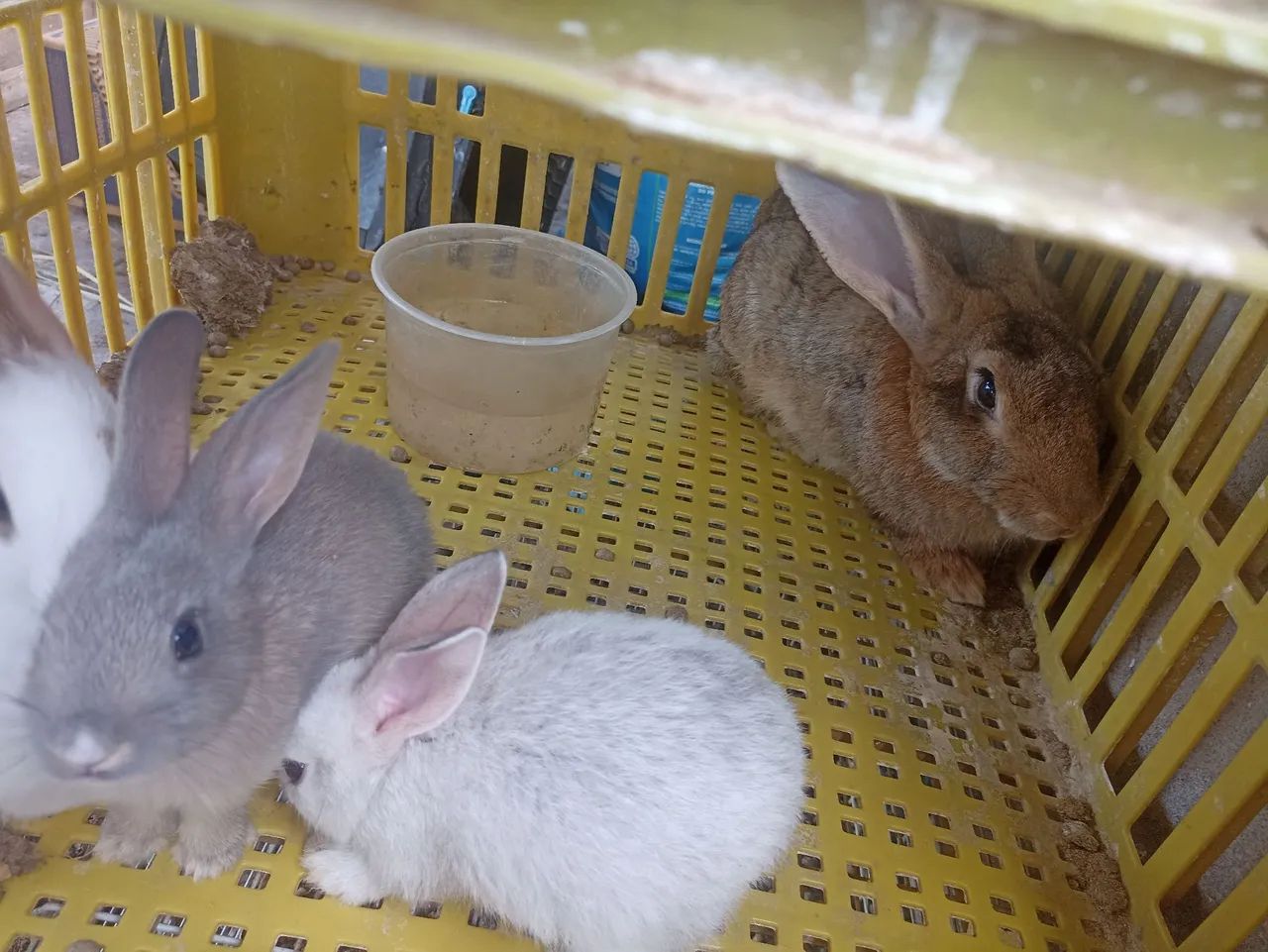 Vendo todos  - Foto 2