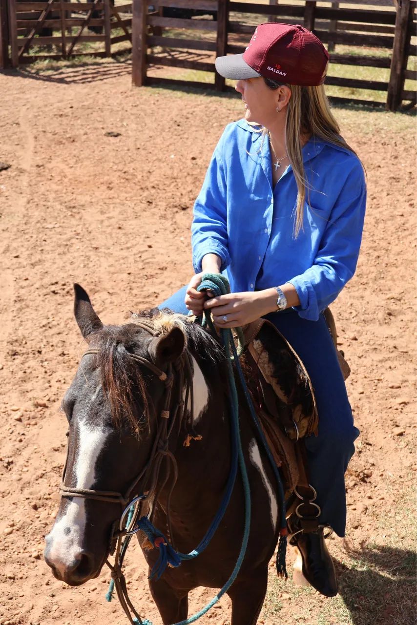 Garanhão Paint horse  - Foto 2