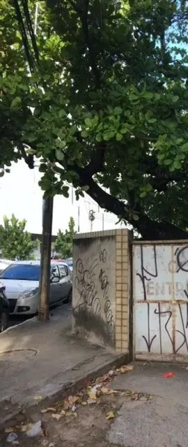 Prédio/Lojas/Pontos Comerciais em Área Movimentada no Pina Excelente Localização