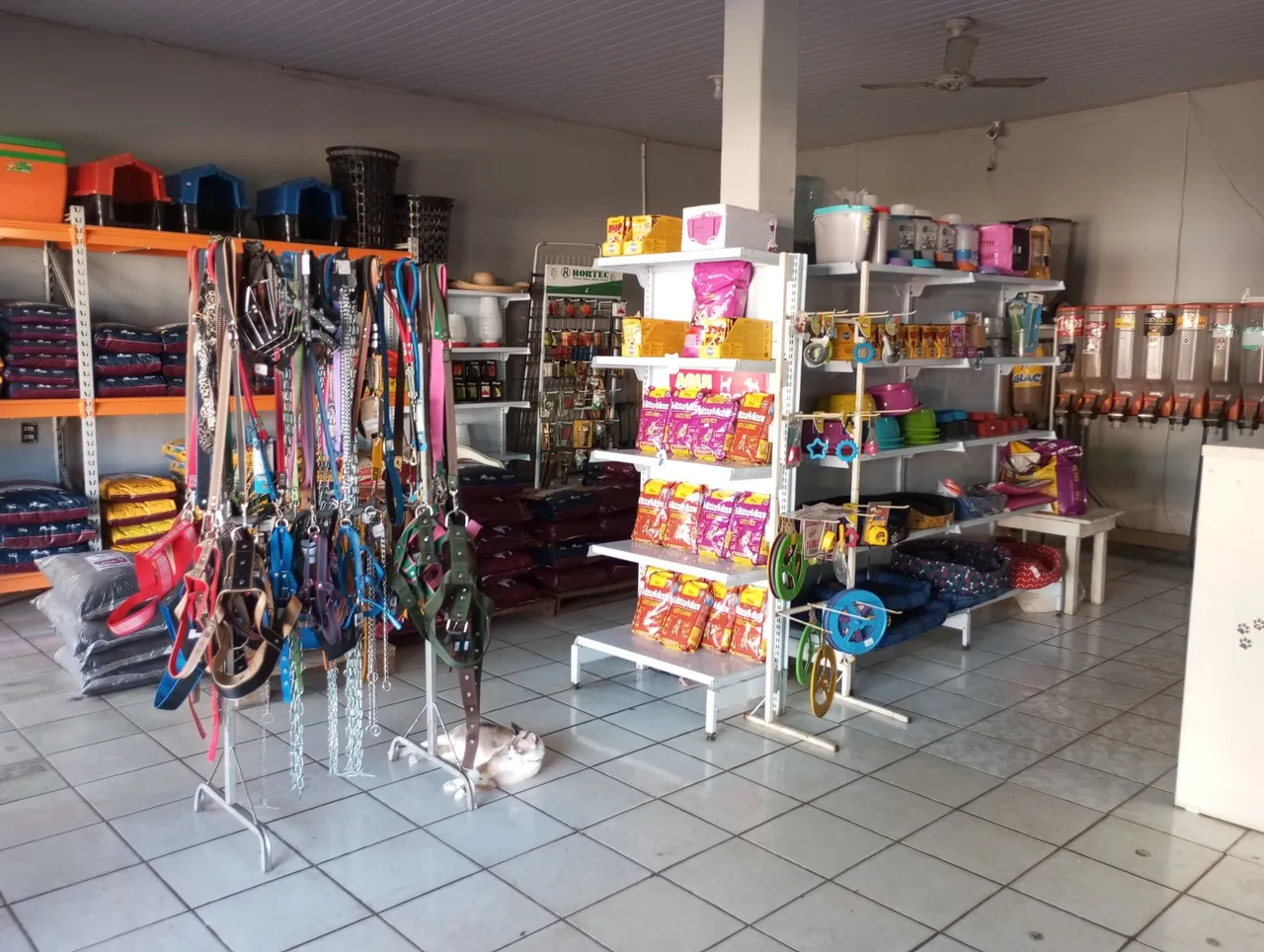 Vende se essa loja de pet