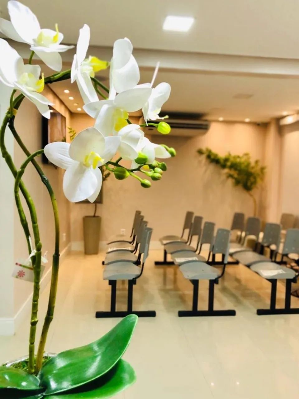 Consultório odontológico 