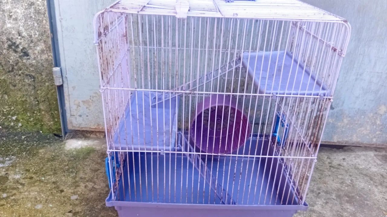 Gaiola para Roedores - Foto 5