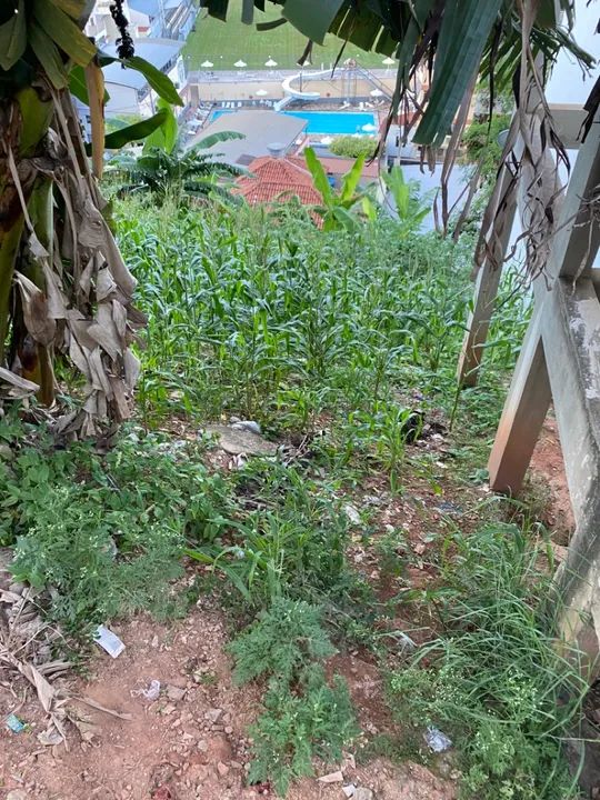 Terreno com vista espetacular! - Foto 5