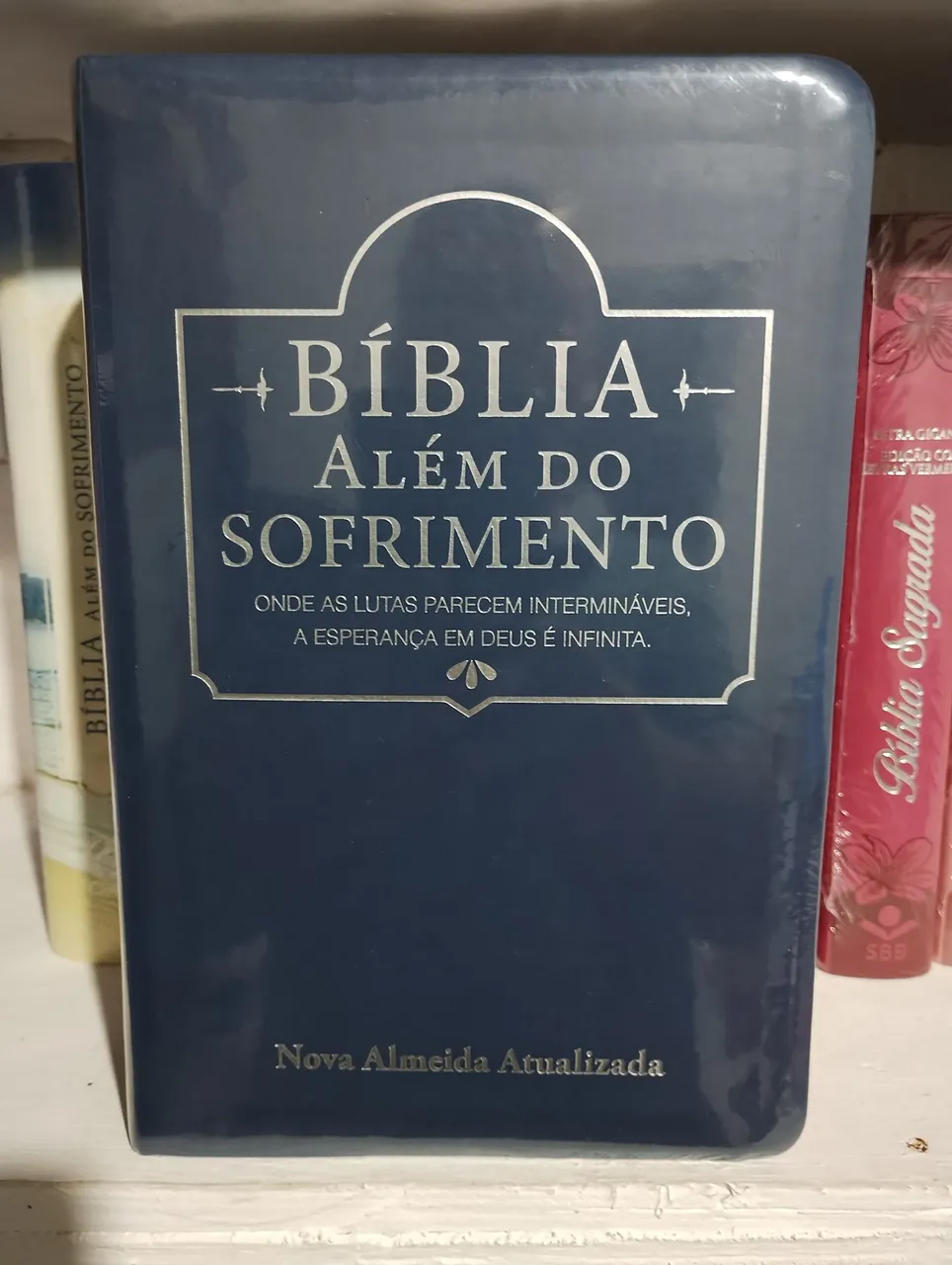 Bíblia Além do Sofrimento - Nova Almeida Atualizada