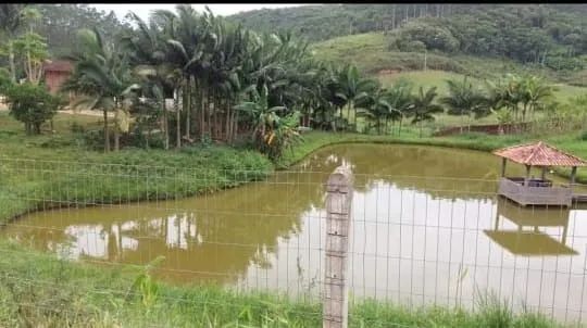 Vendo sítio em Tijuca - Foto 2