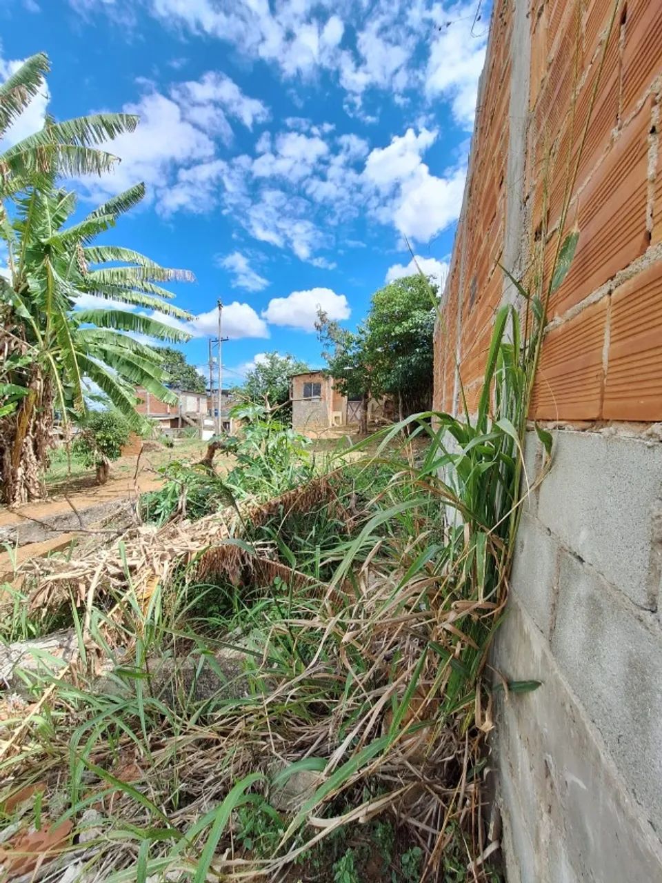 Vendo Casa  - B. Roxo  - Shangrila  - Foto 4