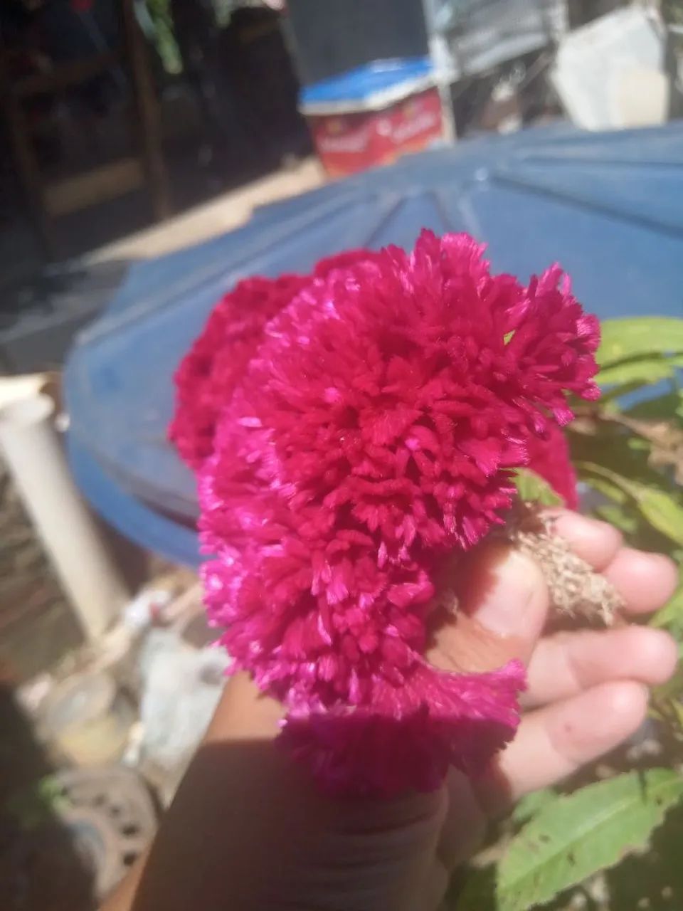 Flores para buquê dia das mães  - Foto 4