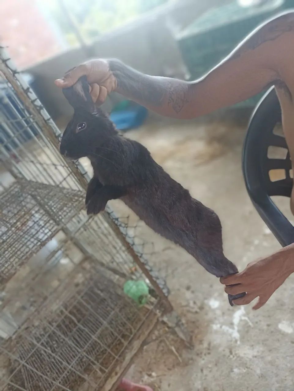 Vendo todos  - Foto 5