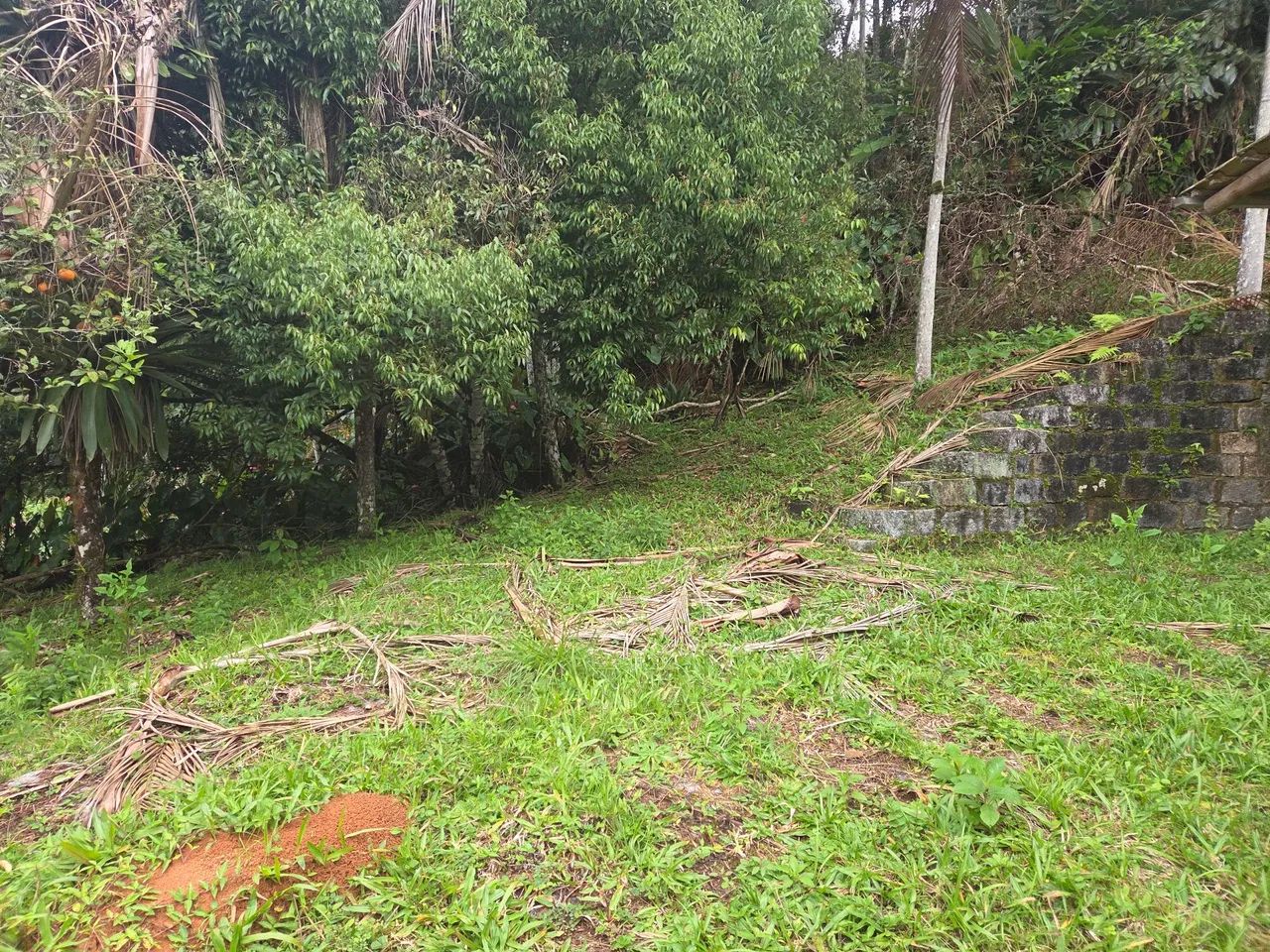 Sítio em Santo amaro da imperatriz - Foto 5