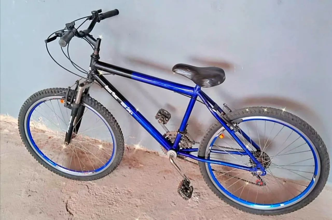 Bike /bicicleta aro 26