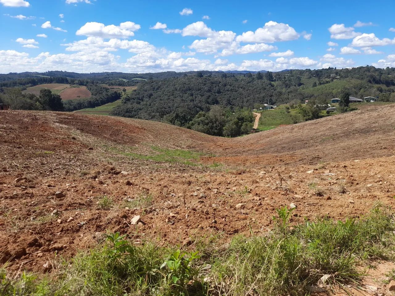 Chácara em mandirituba  - Foto 4