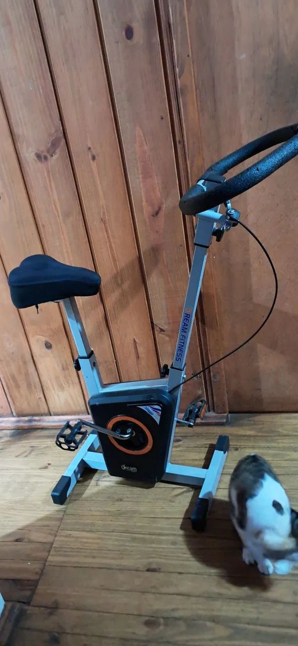 Bicicleta ergometrica 