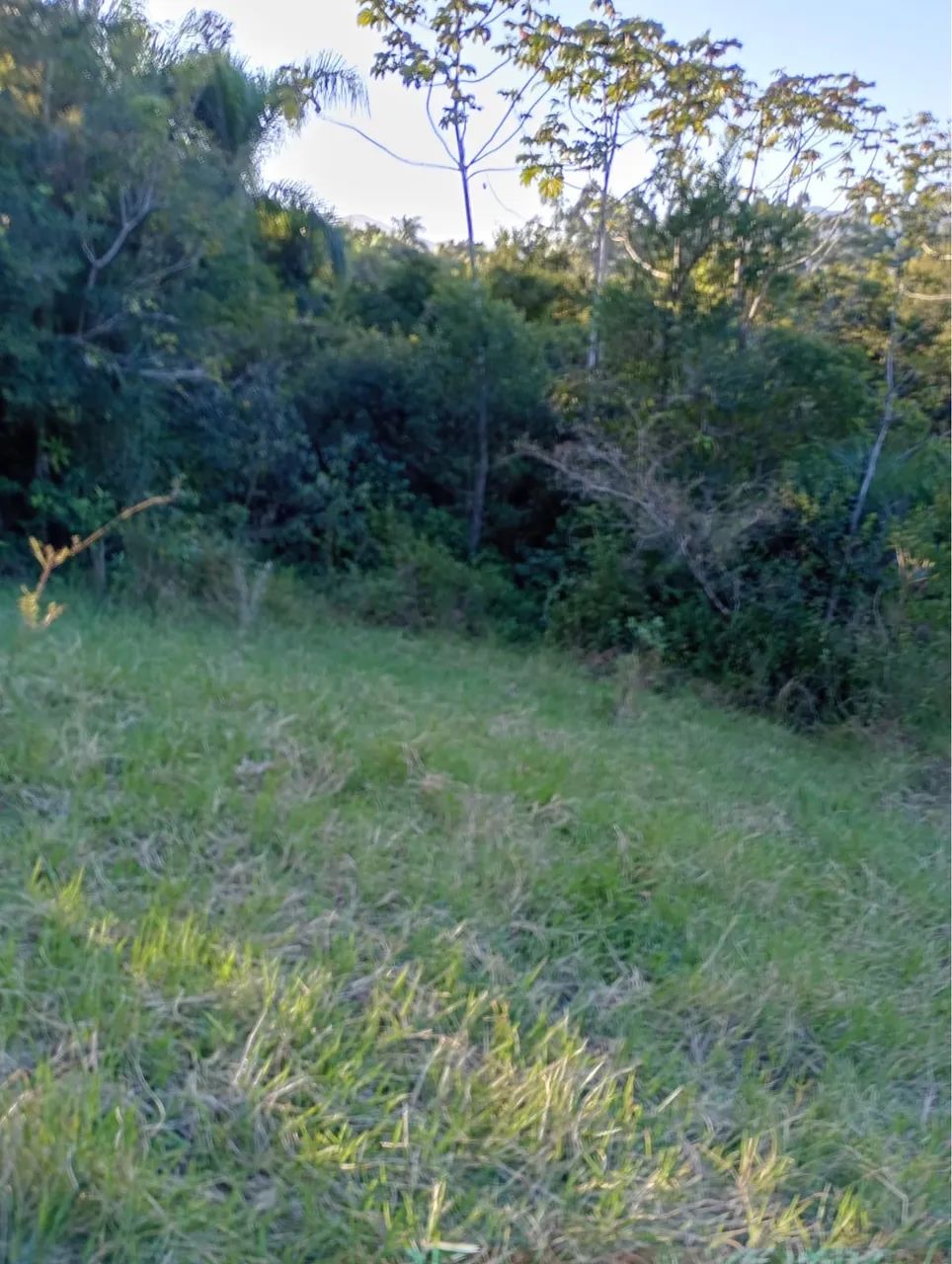 TERRENO 336m² À VENDA EM IMARUÍ/SC - BAIRRO NAZARÉ - Foto 2