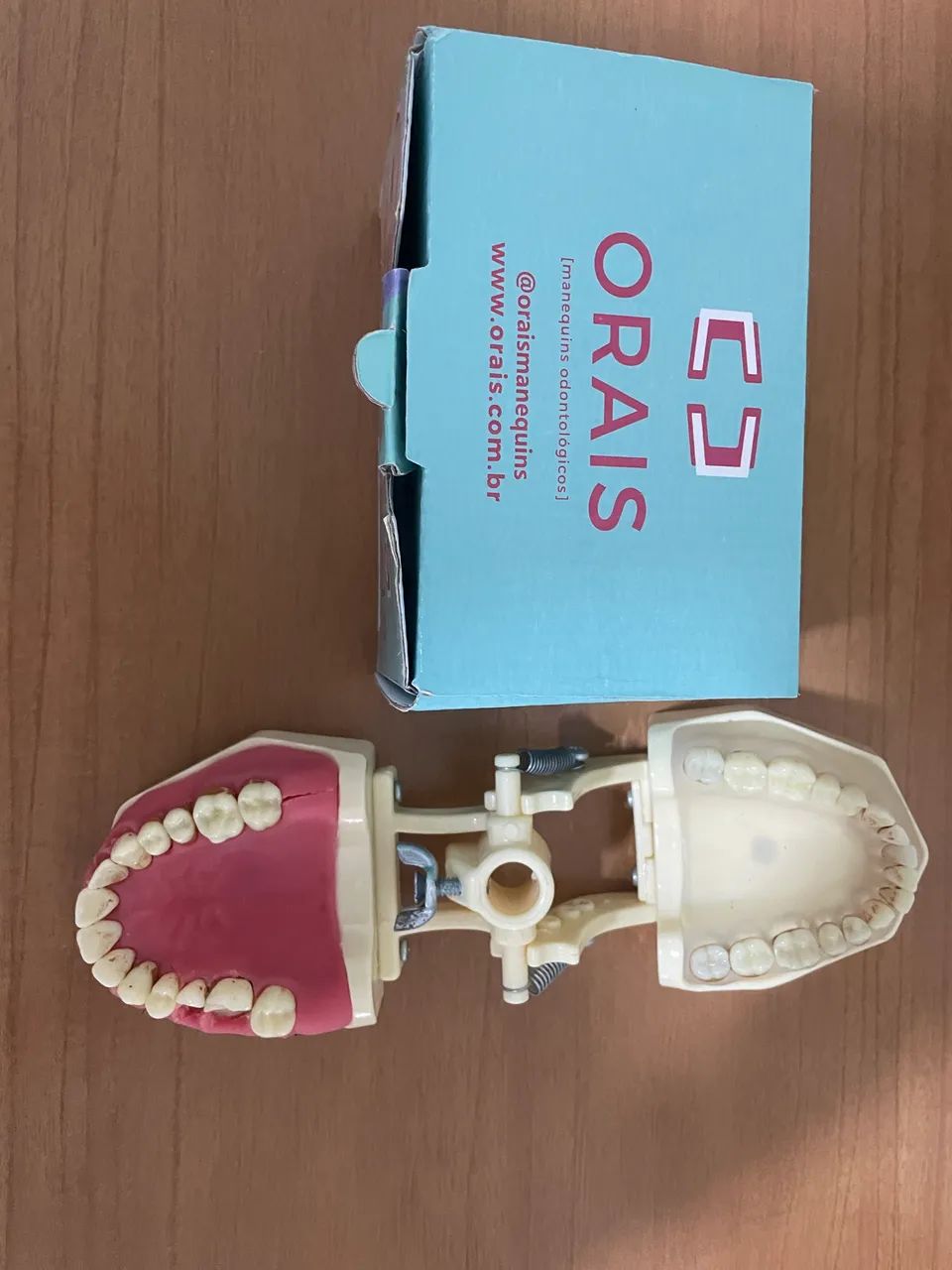 Manequim periodontia orais - Foto 2