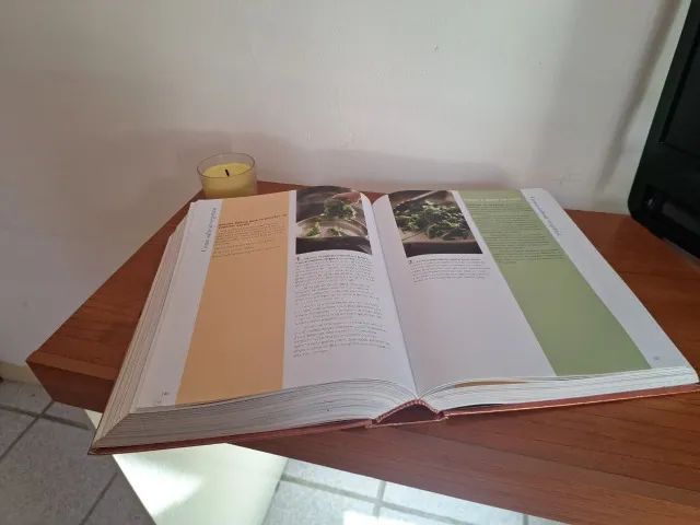 Livro Chef Profissional Senac - Foto 3