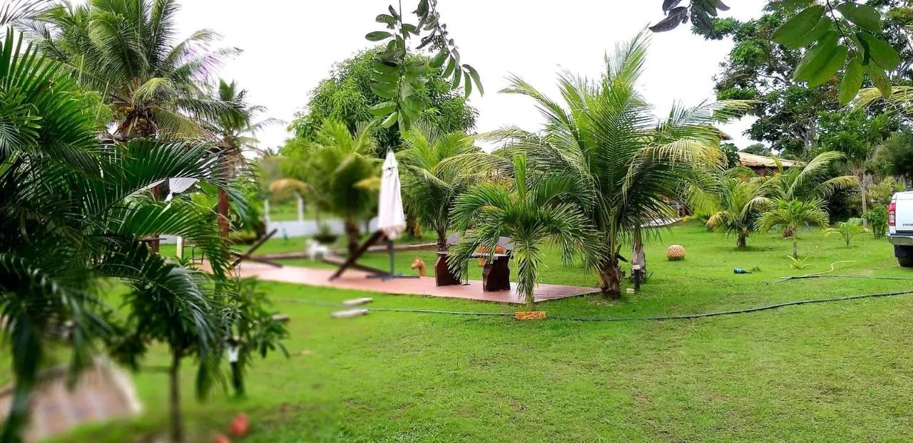 Na beira do Rio São Francisco  - Foto 5