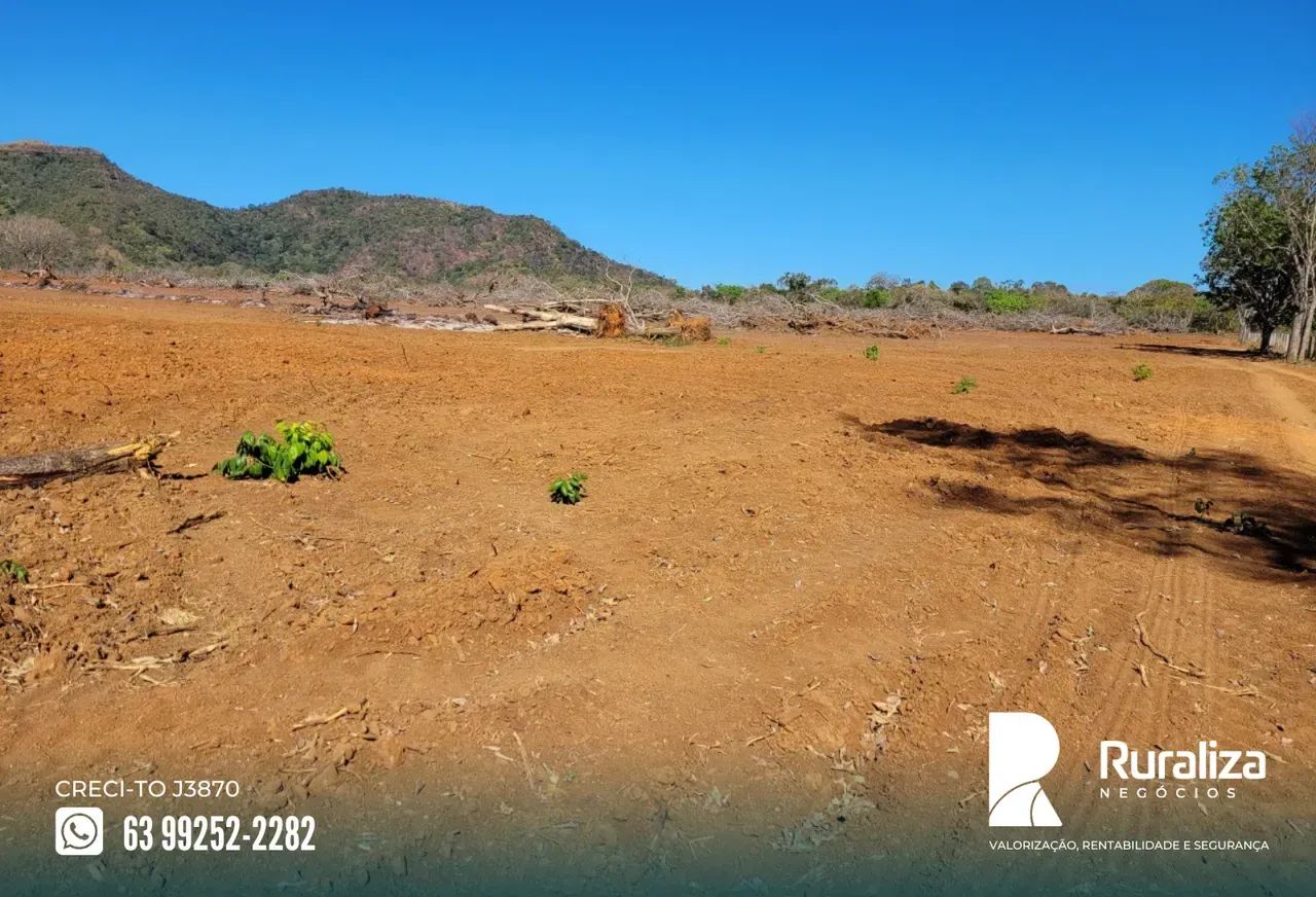 Fazenda a venda em Brejinho de Nazaré | Argilosa | Curral para 1.000 cabeças - Foto 10
