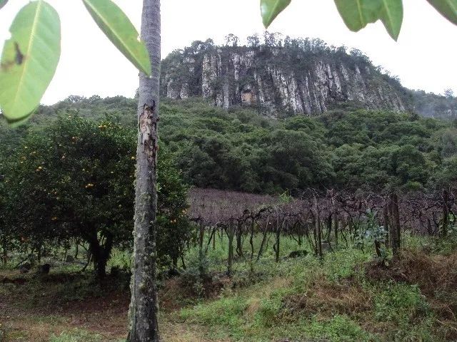 Chácara Galópolis Caxias do Sul