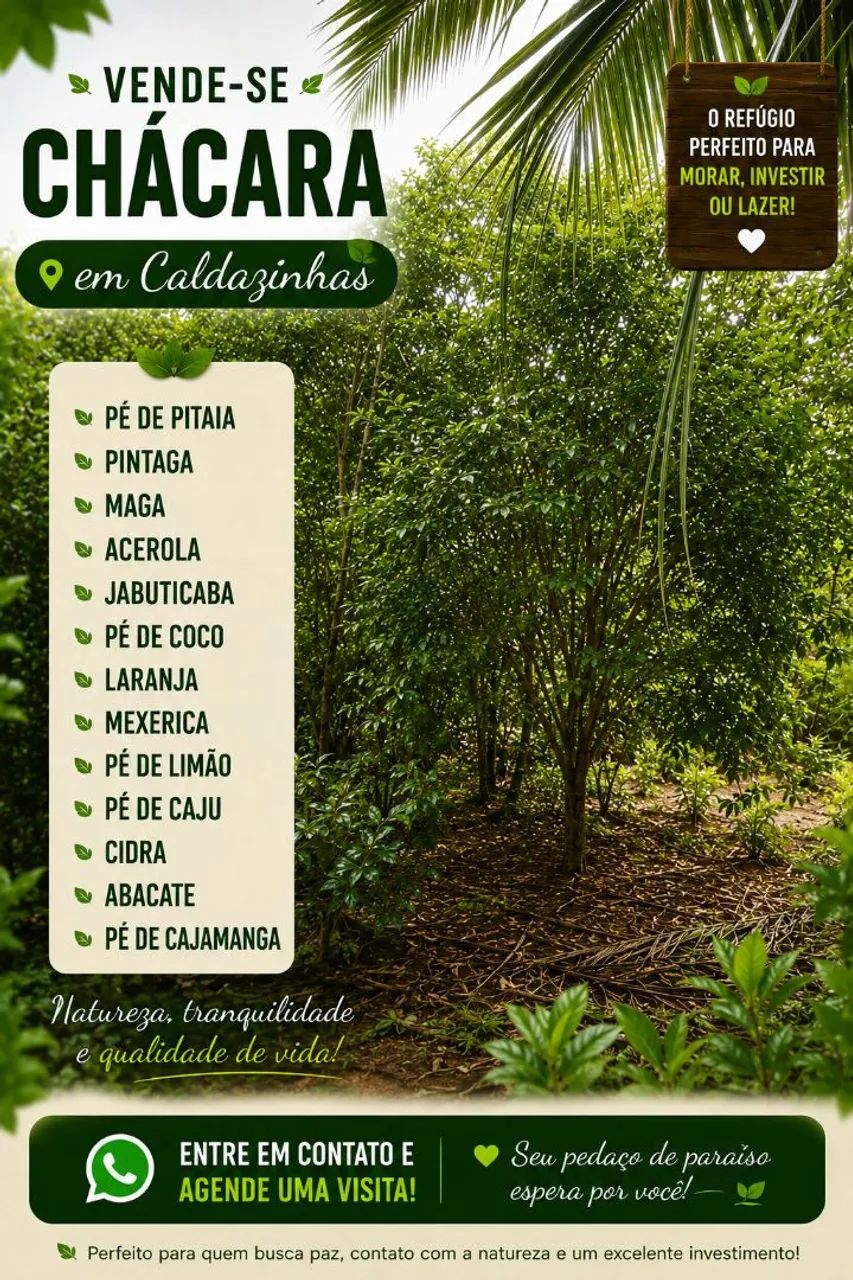 VENDE-SE CHÁCARA EM CALDAZINHA - GO - Foto 5