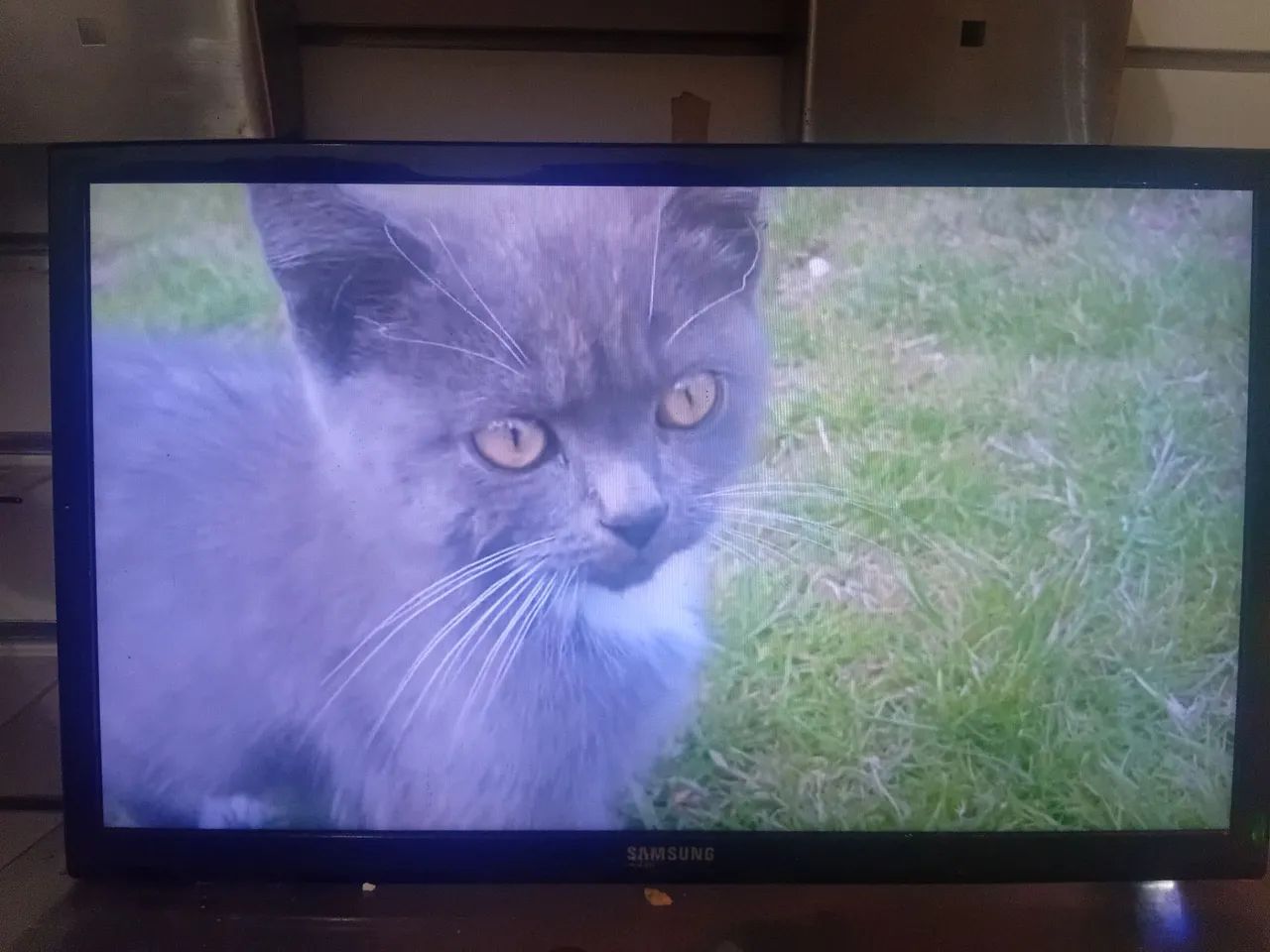 Monitor/TV Samsung 24 polegadas 60 hz - Foto 2