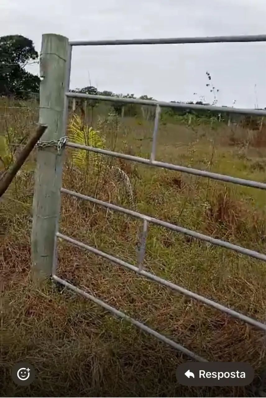 Vende se chácara no gravata - Foto 3