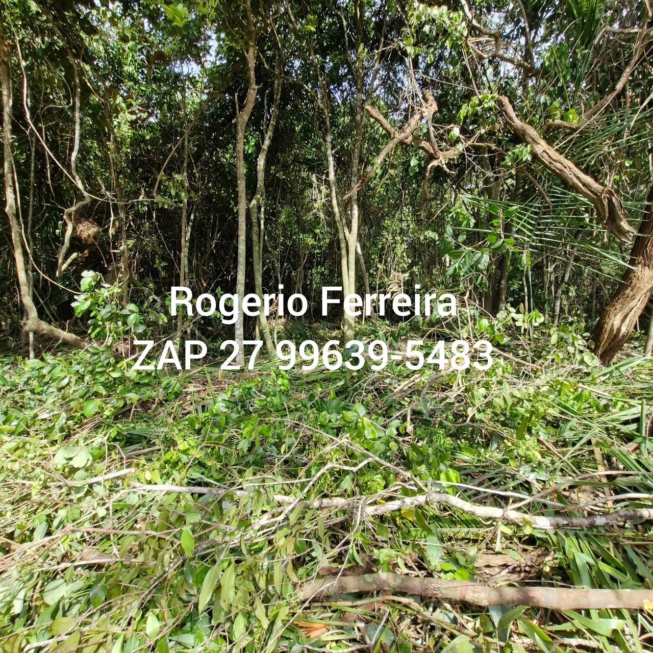 Chácara à Venda - Retiro do Congo | Vila Velha/ES  - Foto 3