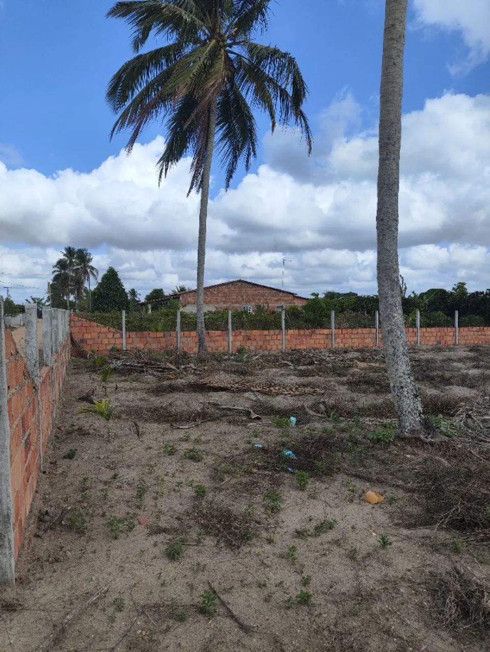 Terreno 19x60 - Foto 3