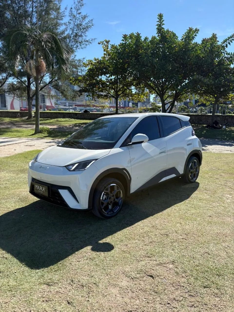 BYD Dolphin Mini (Elétrico) 2026