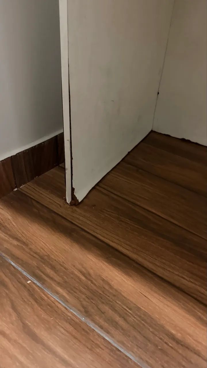 Balcão ( Vendo Urgente) - Foto 4