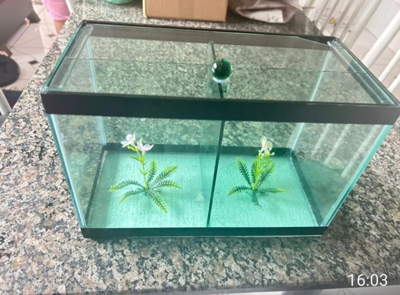 Vende- um aquário duplo