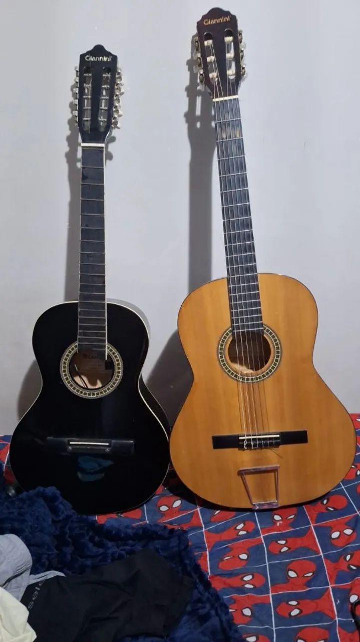 Viola e violão 
