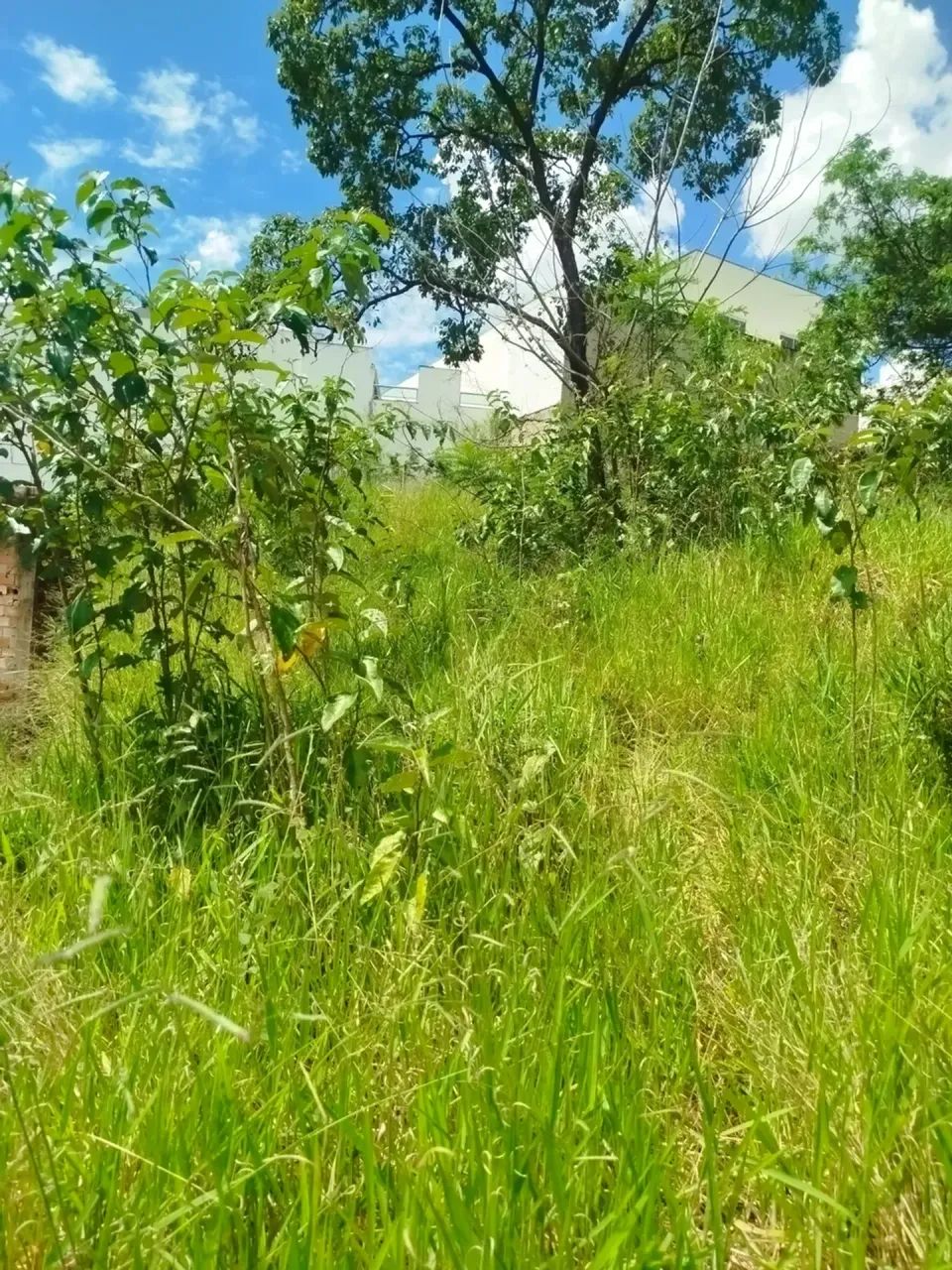 Lote no Masterville Sarzedo - Foto 5