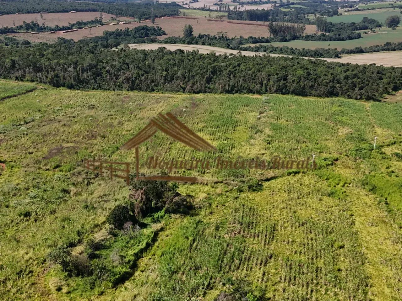Área com 18 alqueires na região de Avaré-SP - Foto 2